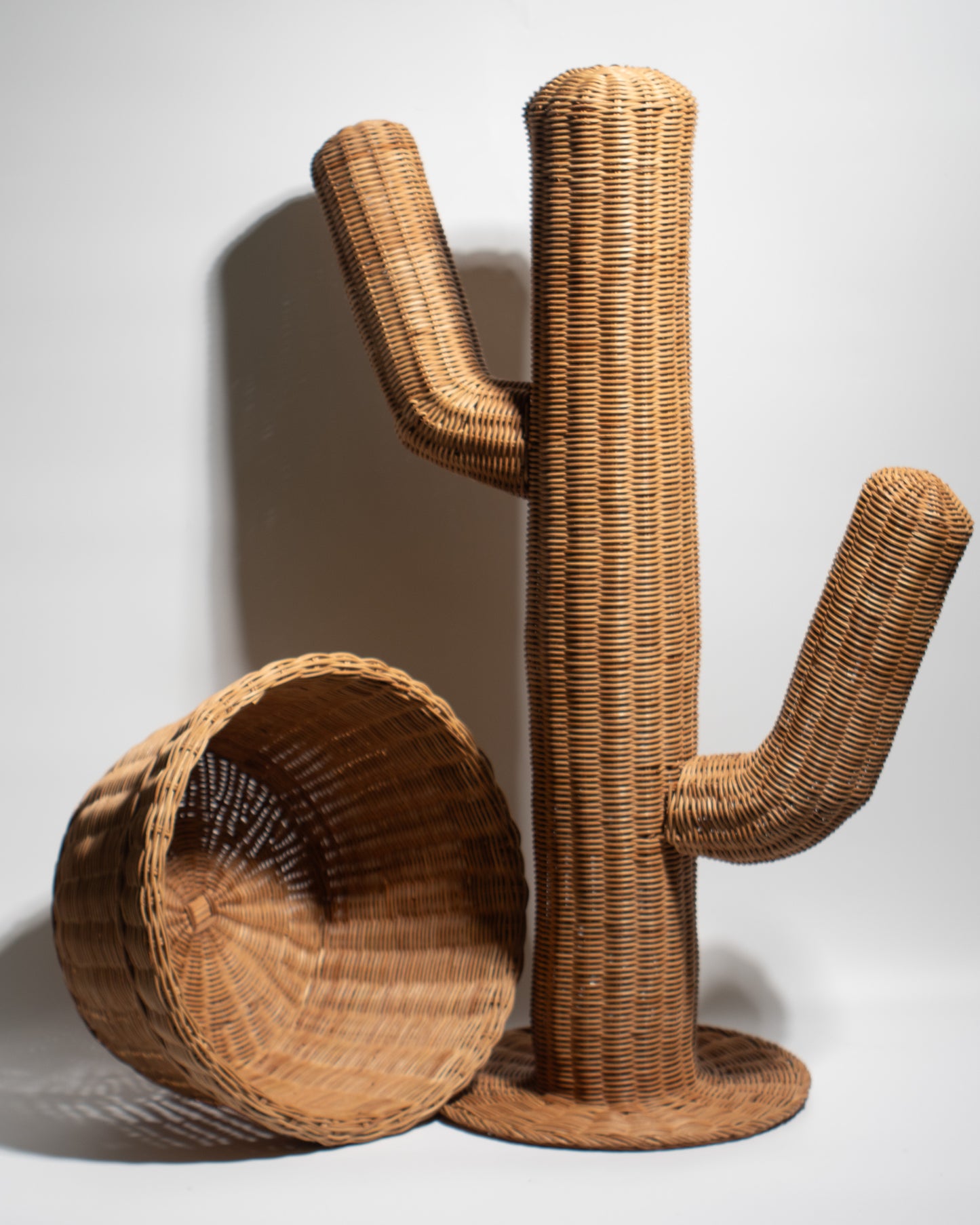 Handwoven Rattan Cactus Basket – Unique, Decorative & Functional