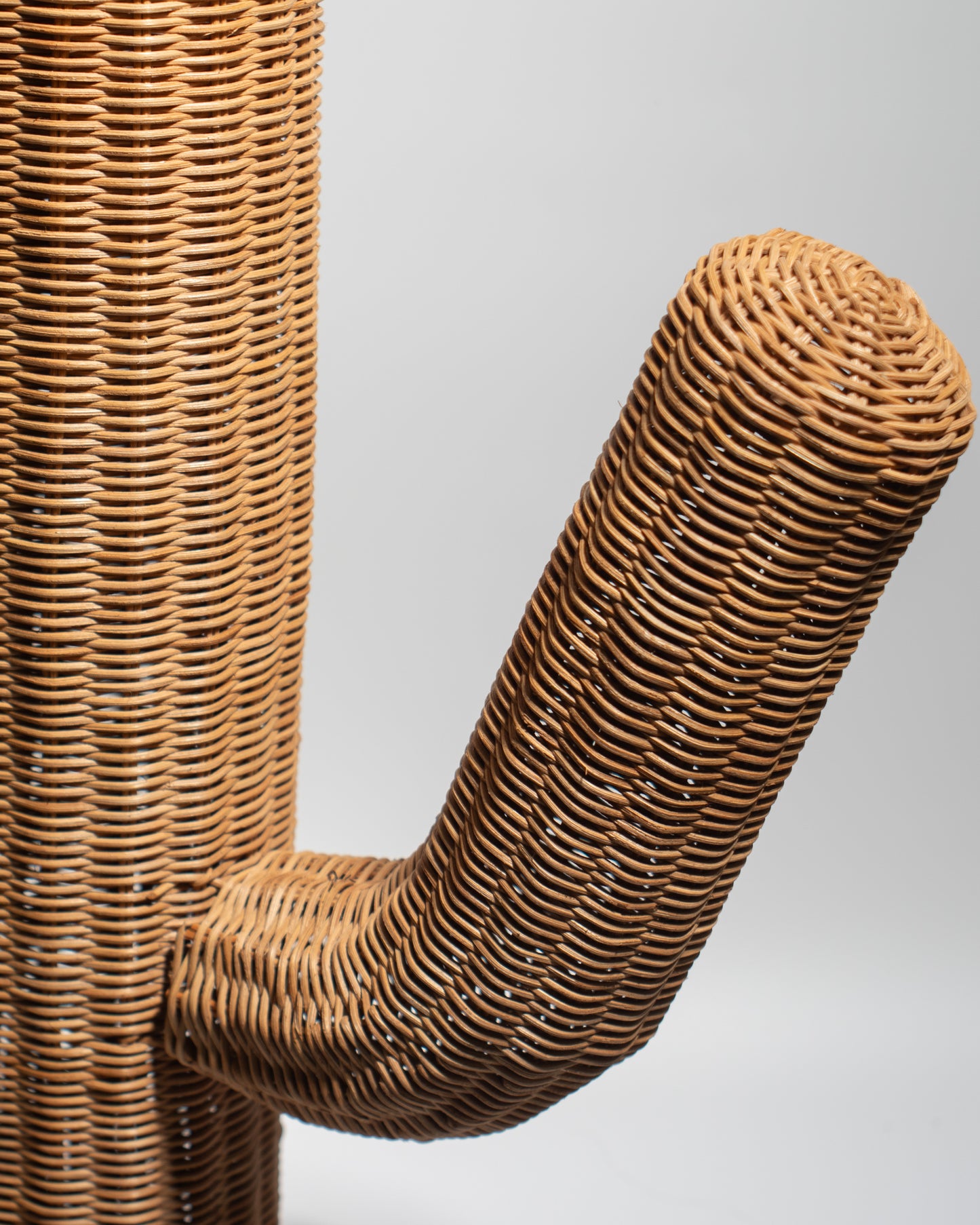 Handwoven Rattan Cactus Basket – Unique, Decorative & Functional