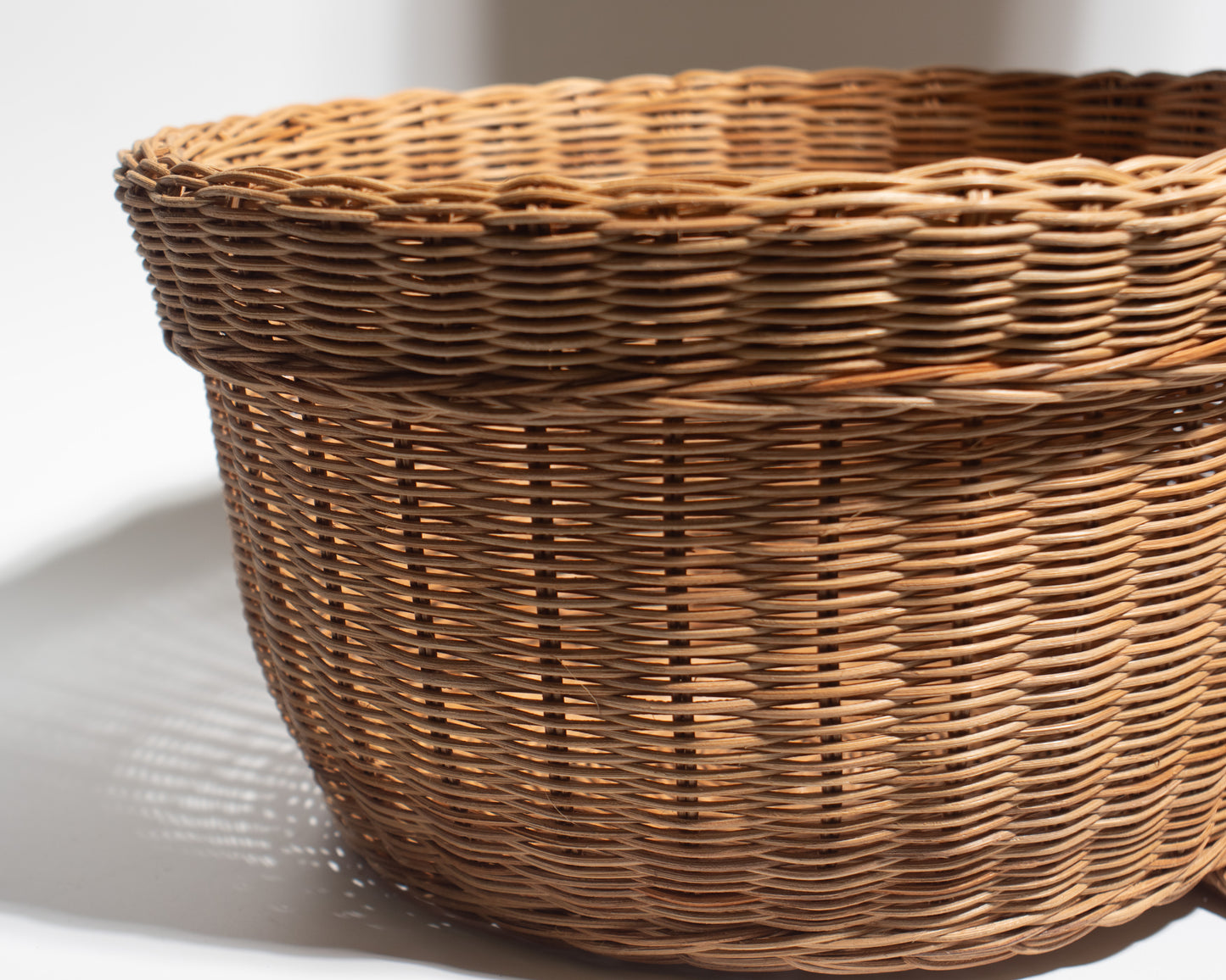 Handwoven Rattan Cactus Basket – Unique, Decorative & Functional