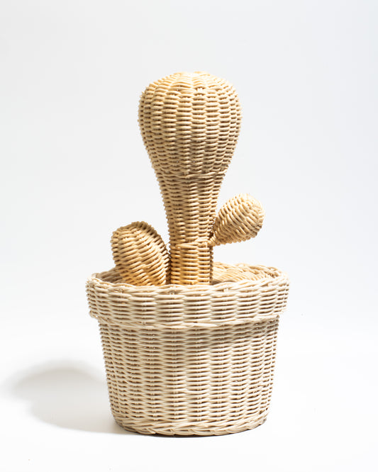 Cactus decorative basket