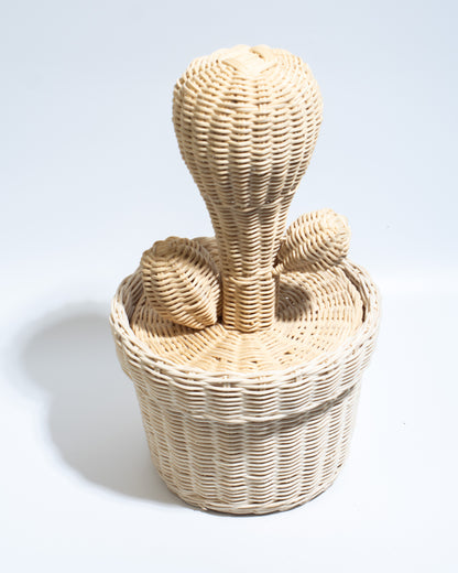 Cactus decorative basket