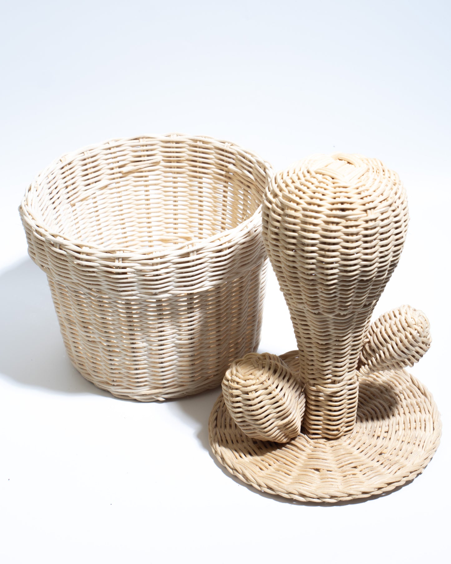 Cactus decorative basket