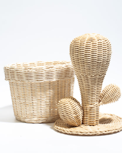 Cactus decorative basket