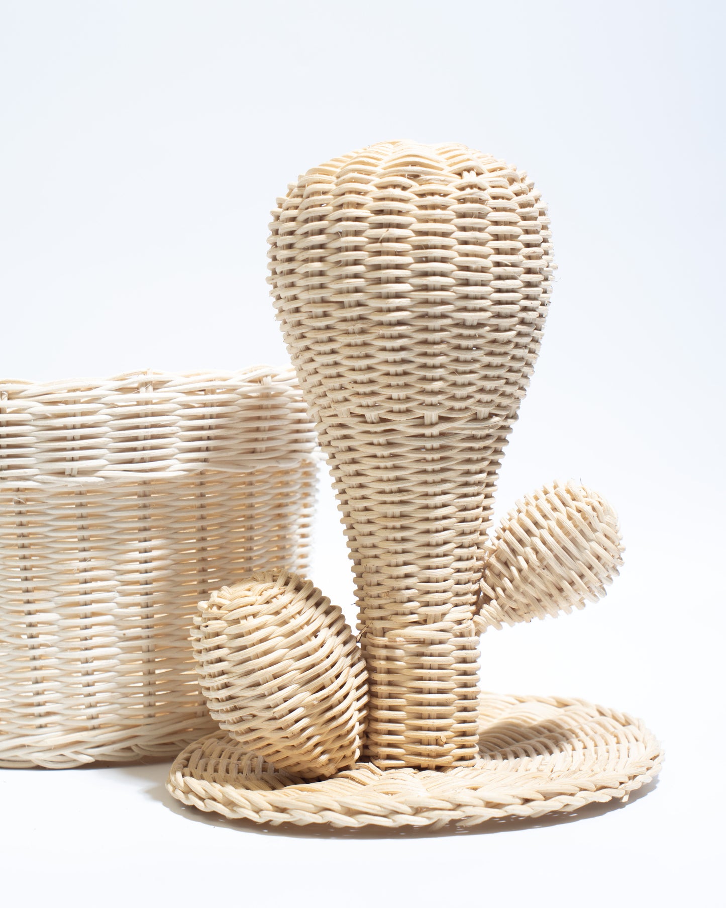 Cactus decorative basket