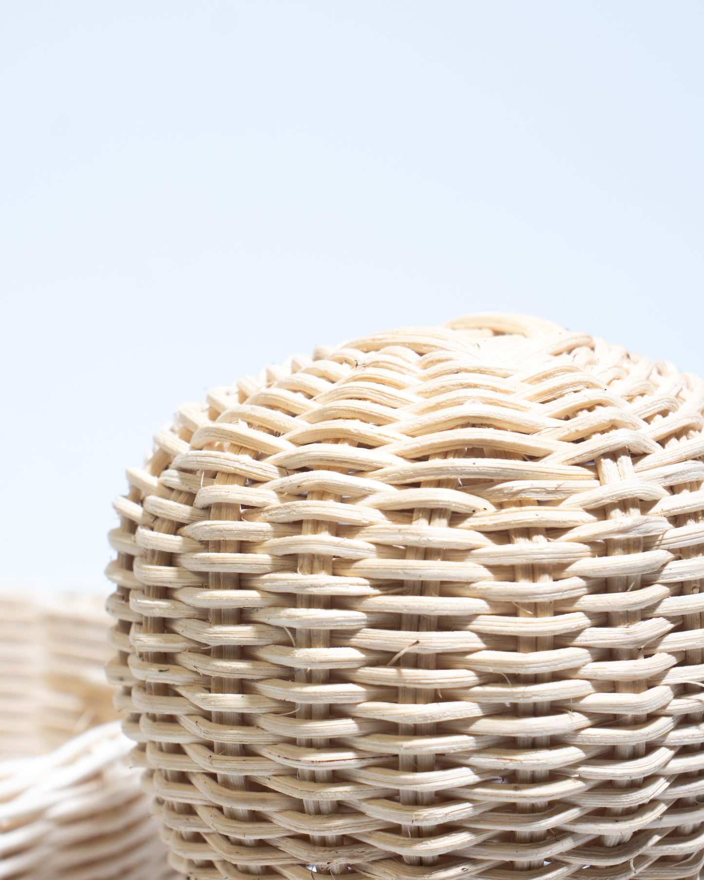 Cactus decorative basket