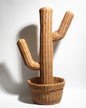Handwoven Rattan Cactus Basket – Unique, Decorative &amp; Functional