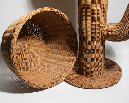 Handwoven Rattan Cactus Basket – Unique, Decorative &amp; Functional