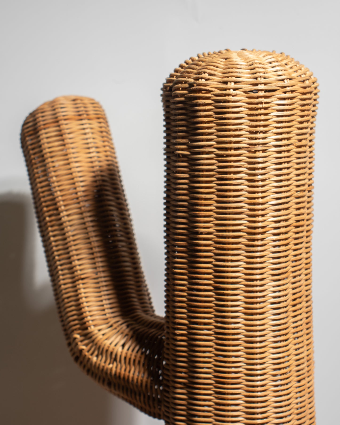 Handwoven Rattan Cactus Basket – Unique, Decorative &amp; Functional