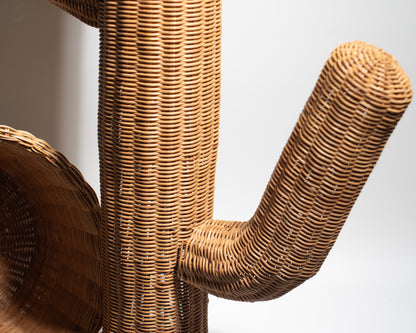 Handwoven Rattan Cactus Basket – Unique, Decorative &amp; Functional