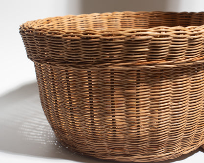 Handwoven Rattan Cactus Basket – Unique, Decorative &amp; Functional